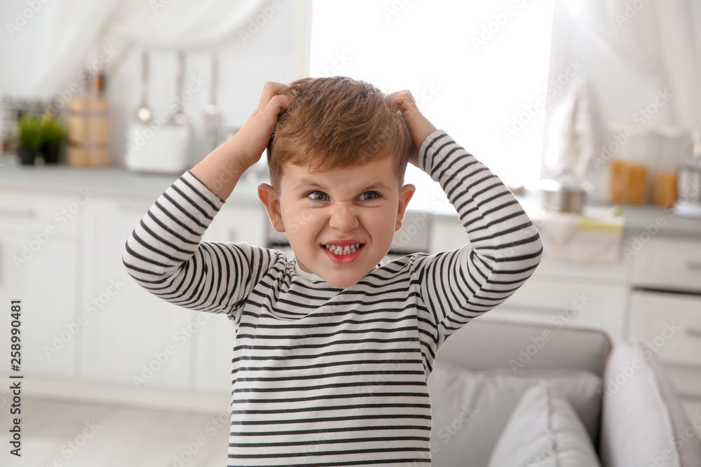 Little boy scratching head at home. Annoying itch - obrazy, fototapety, plakaty 