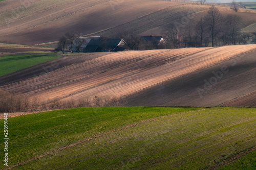 Cultivated fields in spring. Ponidzie,Poland 