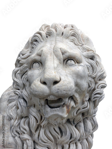 big marble lion head of old marble lion statuary isolated on white background