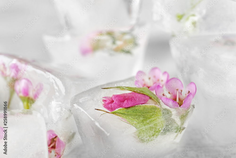 Floral ice cubes on table, closeup view Floral ice cubes on table, closeup view