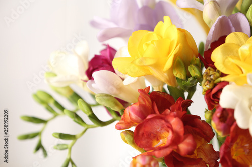 Beautiful bouquet of spring freesia flowers on light background, closeup