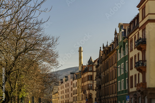 Old buildings and trees in a street in Heidelberg