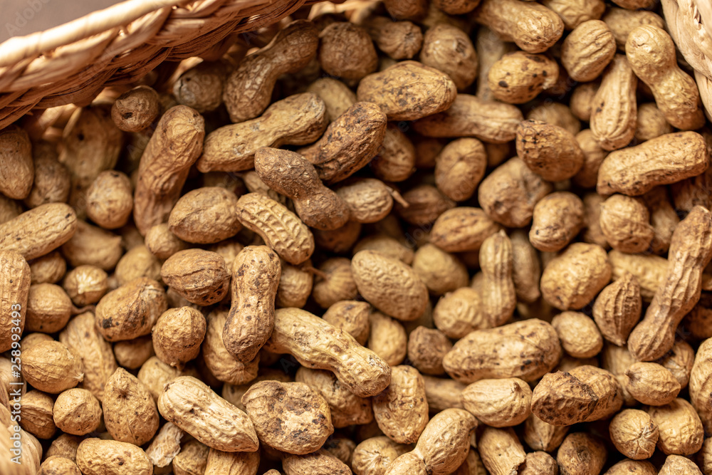The fresh peanuts harvested in the fall are in the paper basket The fresh peanuts harvested in the fall are in the paper basket