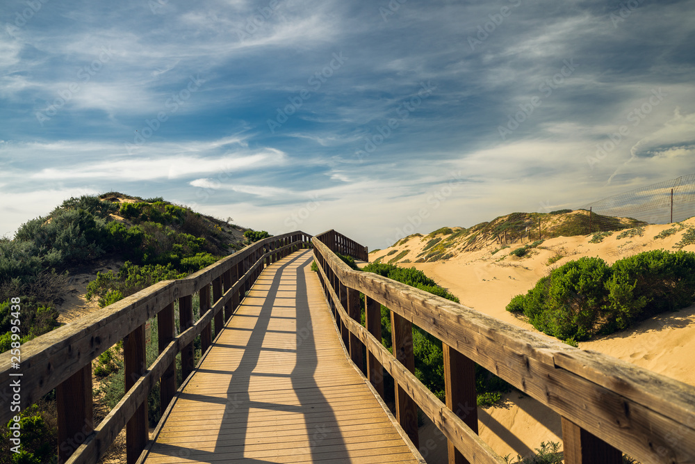 Rustic Wood Beach Boardwalk through Sand Dunes,  Oso Flaco Lake Natural Area State Park, California