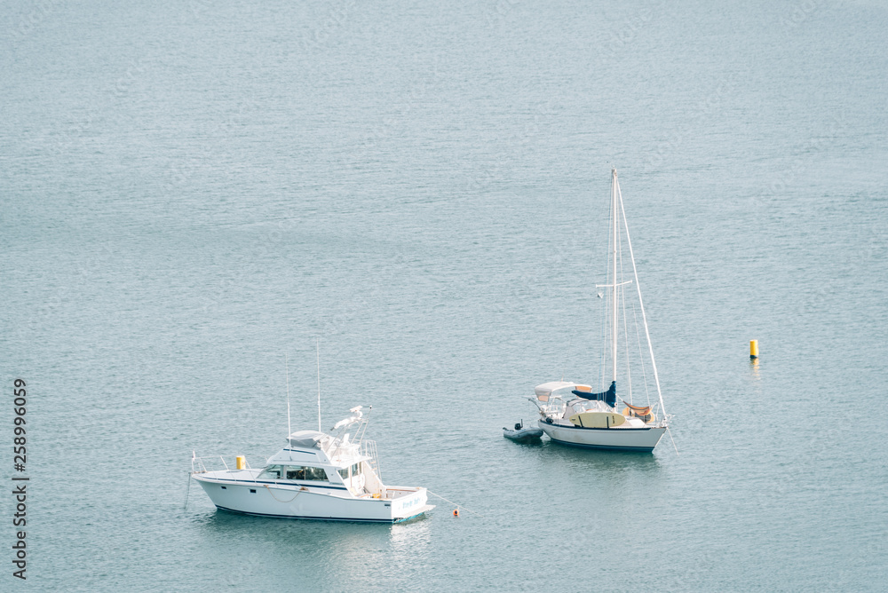 Obraz premium Boats in the harbor, in Dana Point, Orange County, California