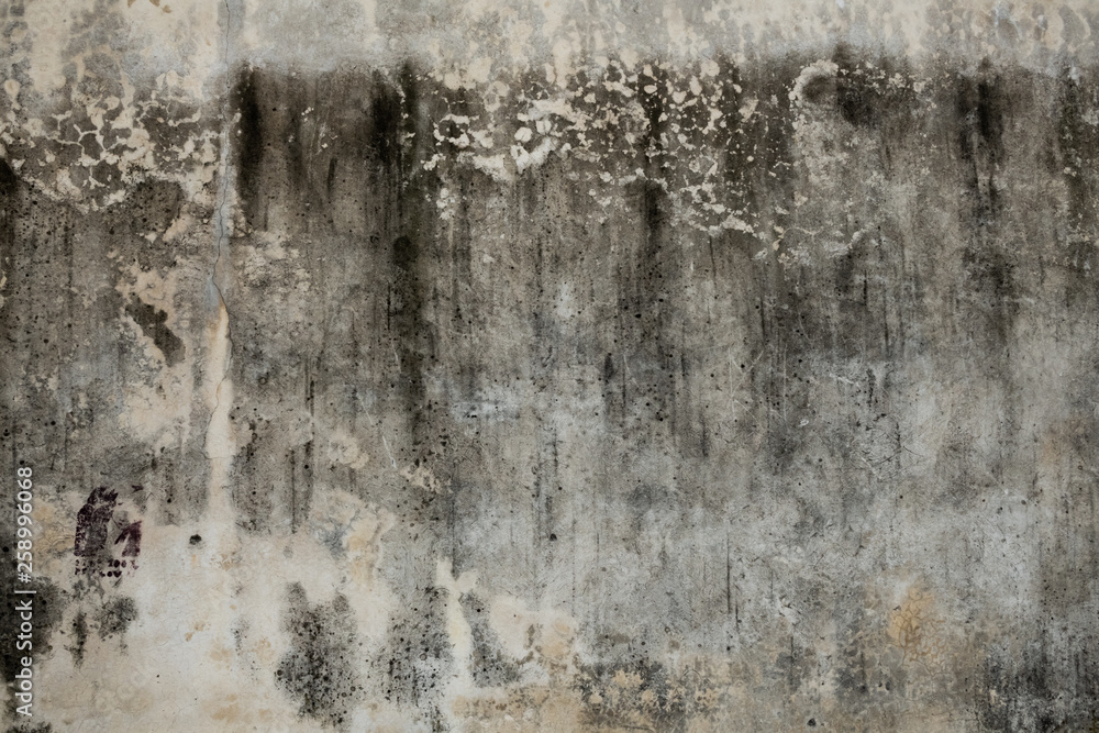 Texture of old plaster.