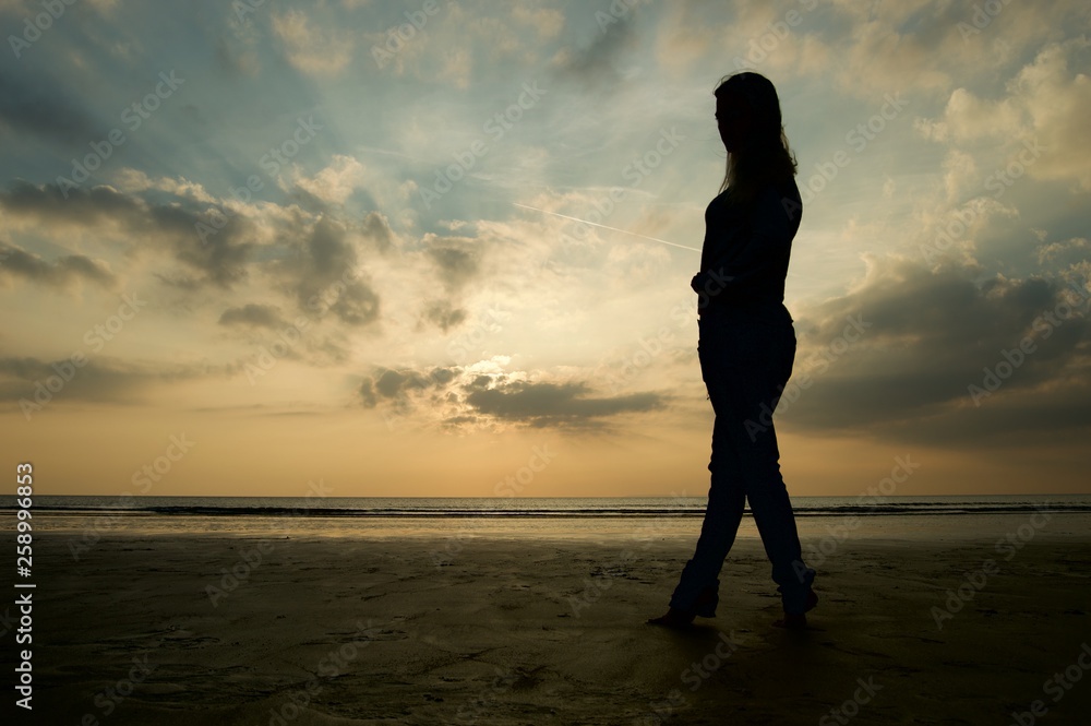 Fototapeta premium Beach Sunset Silhouette