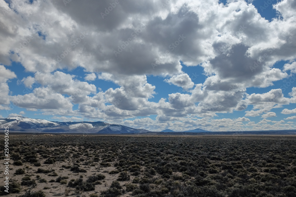 sagebrush in a high desert valley on a partly cloudy day