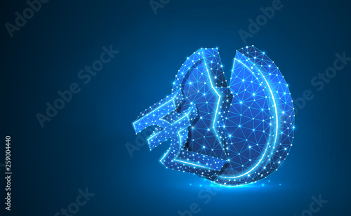 Broken Rupee Golden Coin Neon 3d illustration. Polygonal Vector business, money, unstable finance, crash, broken circle concept. Low poly wireframe, triangle, lines, dots, polygons. Blue background