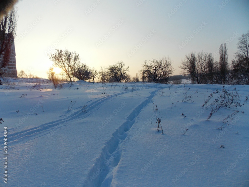 Obraz premium road in winter