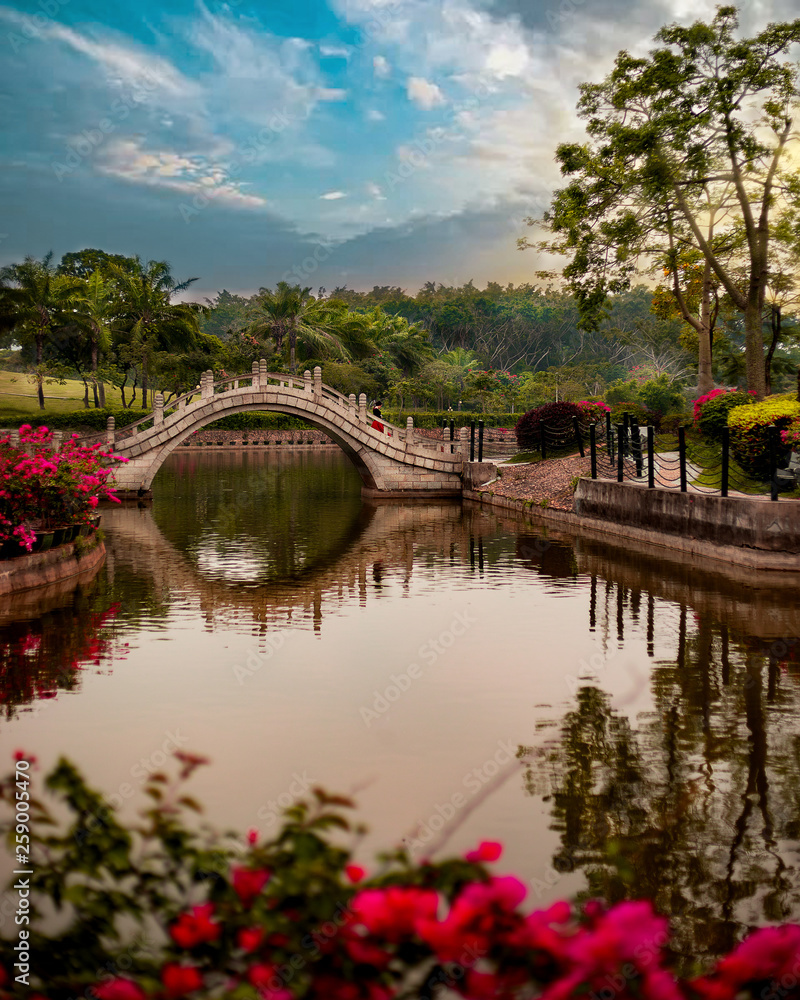 bright nature in the Asian Park with a moon bridge