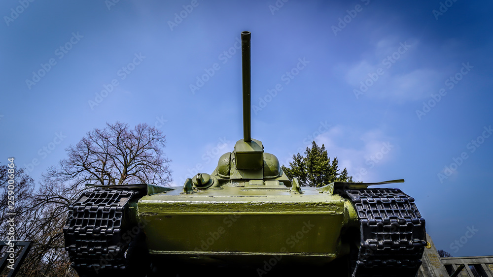 Fototapeta premium Soviet War Memorial (Tiergarten)