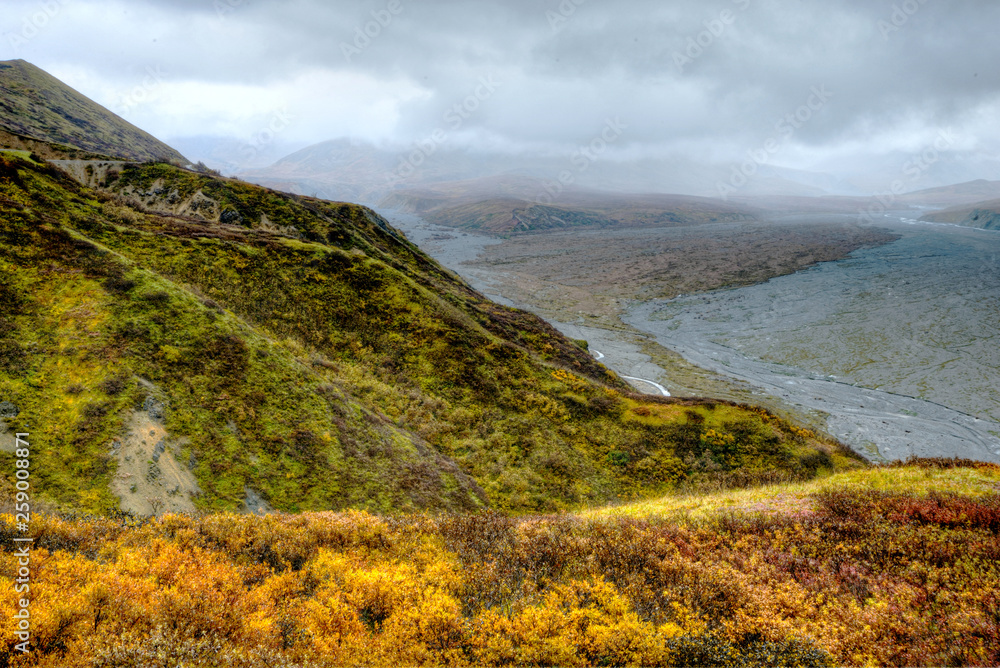 Fog lays around a braided river in Denali National Park.