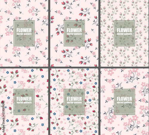 Set for wedding invitation, greeting card, banner. Flowers, leafs, pink rose. Decorative frame. Vector seamless pattern.