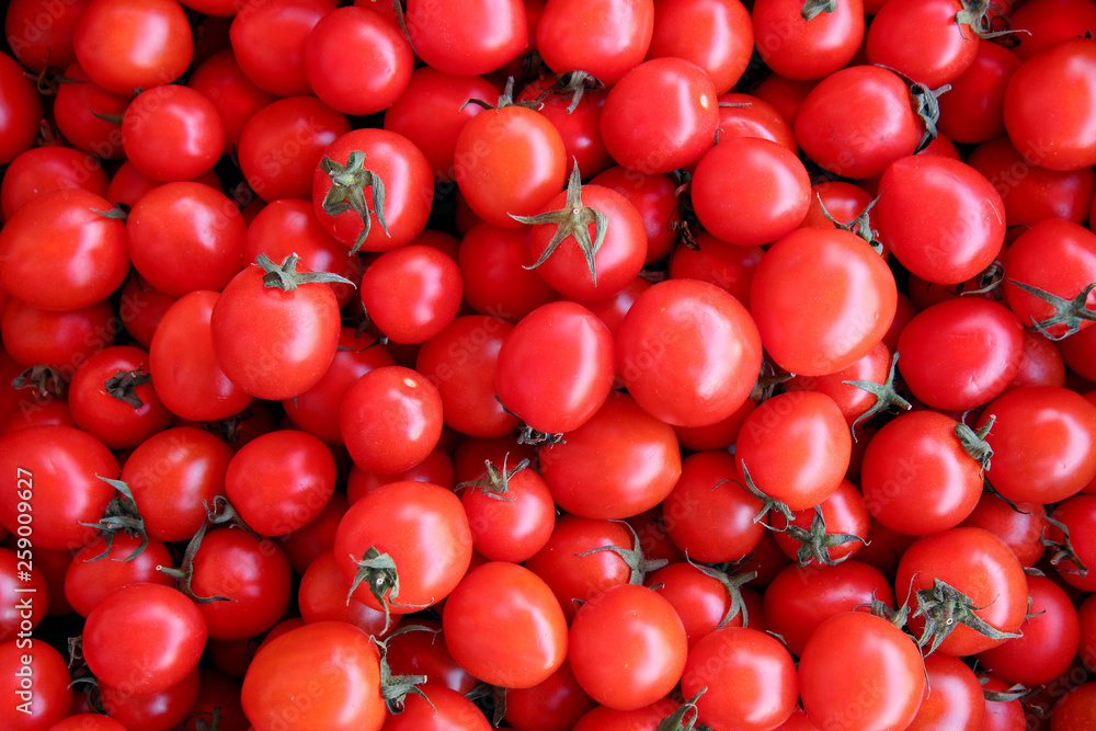 bunch of tomatoes bunch of tomatoes
