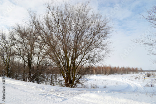 Winter walk in the snowy forest © Марина Магадиева