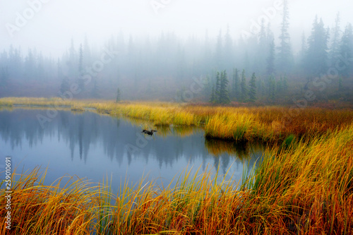 A cloudy foggy day over a lake in Denali National Park.