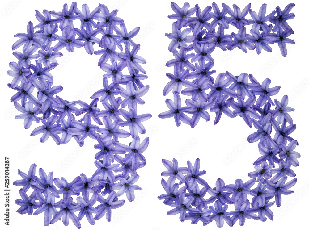 Numeral 95, ninety five, from natural flowers of hyacinth, isolated on white background Numeral 95, ninety five, from natural flowers of hyacinth, isolated on white background