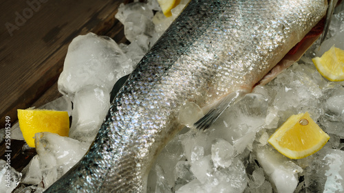 Salmon, ice, fish store, fish, food, frozen, seafood, production, hygiene, store, health, sea, ocean, display, advertising, ocean, red fish, chum salmon, sockeye, Alaska, Kamchatka, Sakhalin, prepared