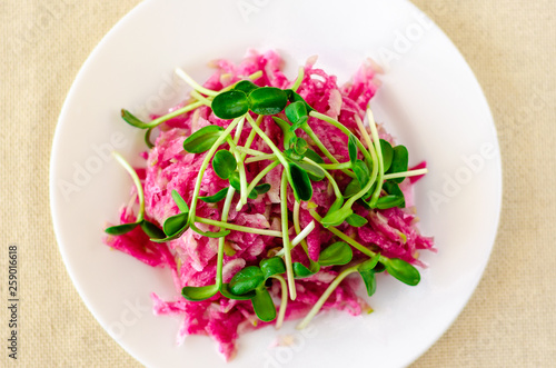 Vegetarian salad of red radish and fresh young green sunflower sprouts on a white plate. Top view