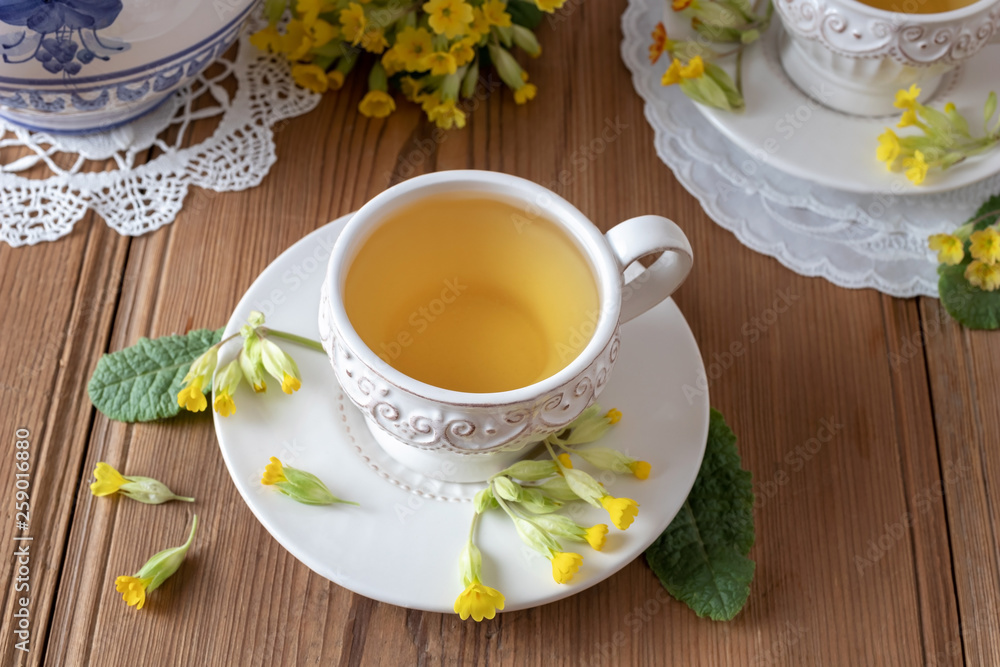 A cup of herbal tea with wild primula flowers