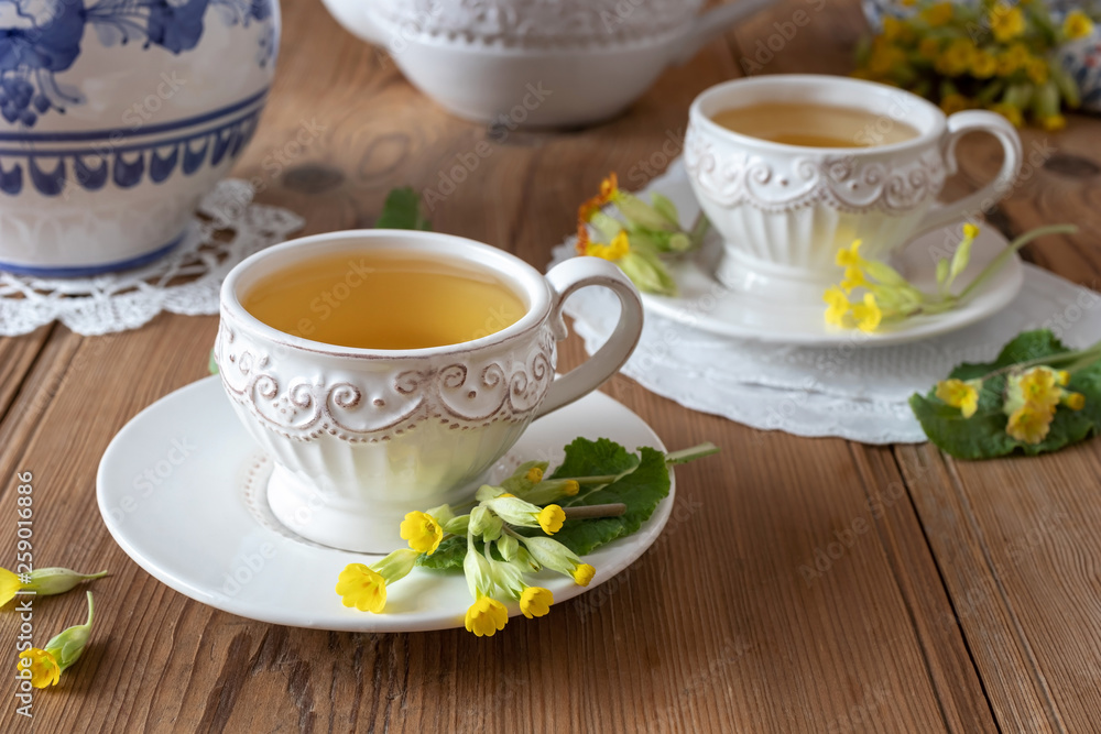 Two cups of herbal tea with wild primula flowers Two cups of herbal tea with wild primula flowers