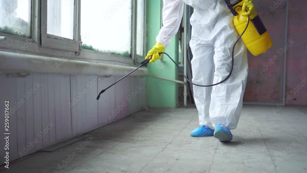 Exterminator in overalls carries out processing of the room from a mold Exterminator in overalls carries out processing of the room from a mold