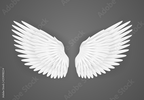 Realistic Detailed 3d White Blank Wings Template Mockup. Vector
