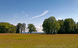 Bawaria, Niemcy – pola zieleni nad jeziorem Chiemsee.