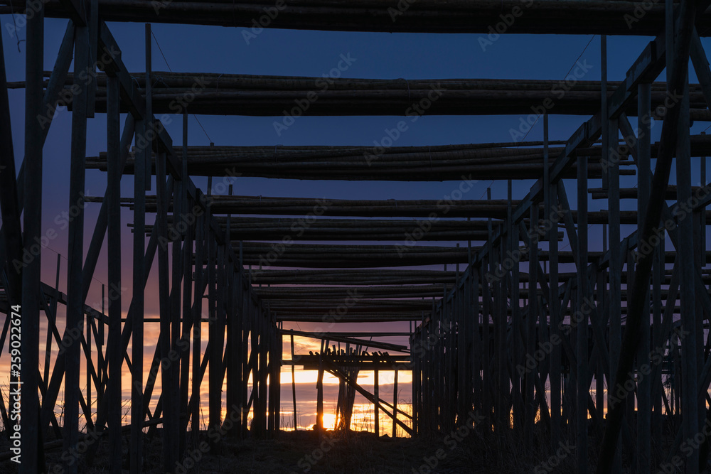 Silhouette shapes of empty cod drying racks at sunrise, Toppøy, near Reine, Moskenesøy, Lofoten Islands, Norway Silhouette shapes of empty cod drying racks at sunrise, Toppøy, near Reine, Moskenesøy, Lofoten Islands, Norway