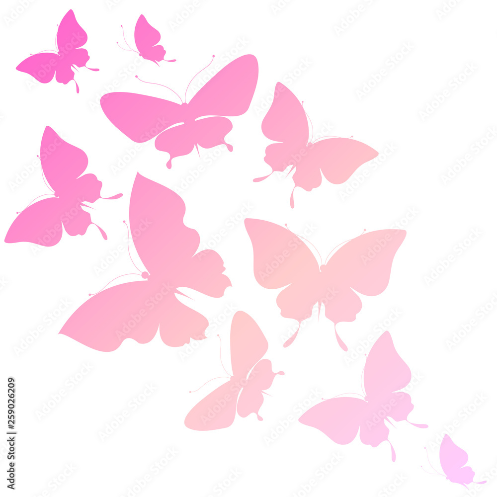 beautiful pink butterflies, isolated on a white beautiful pink butterflies, isolated on a white