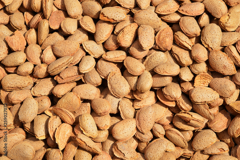 background of almonds background of almonds