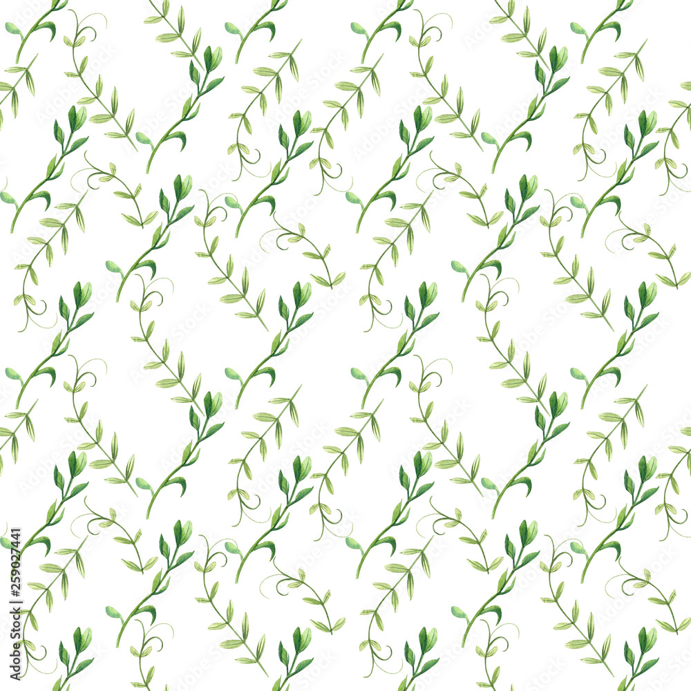 watercolor wildflofers watercolor wildflofers