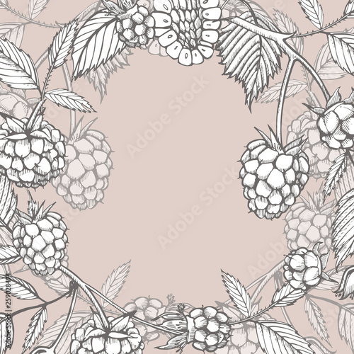 Hand drawn raspberry. Retro sketch style illustration. Perfect for invitation, wedding or greeting cards.