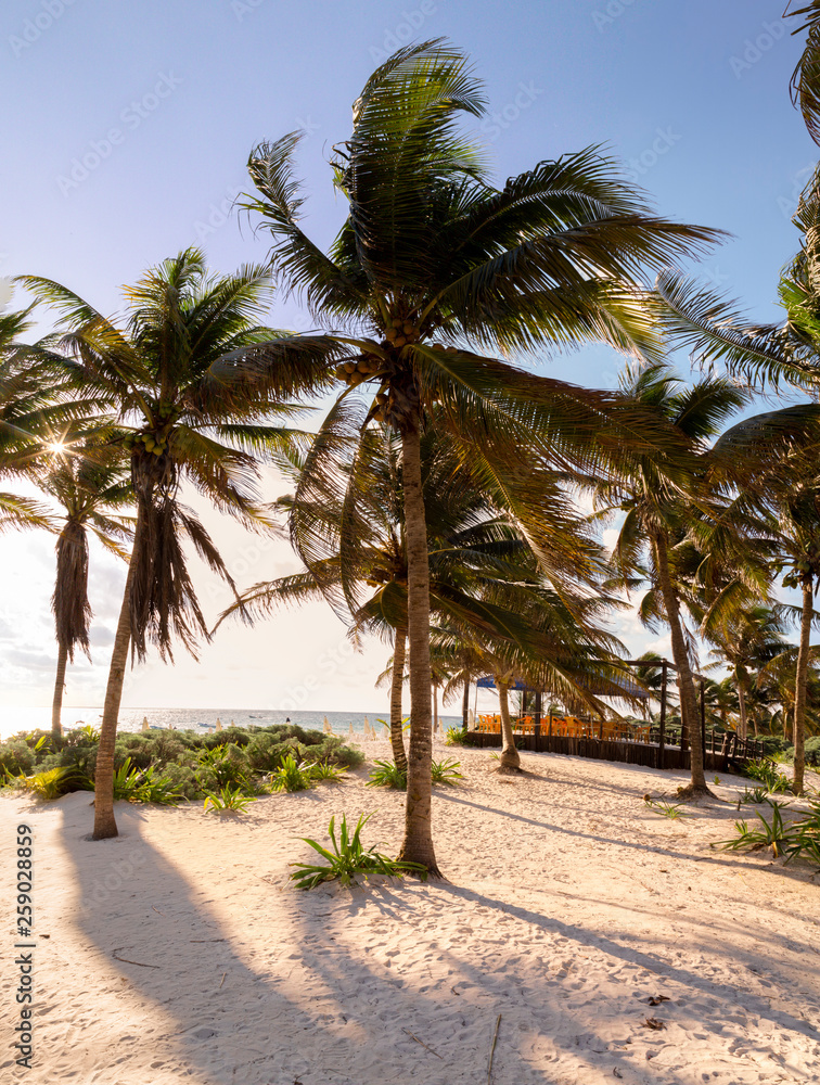Paradise Beach also called Playa Paraiso at sunrise - Tulum, Quintana Roo, Mexico