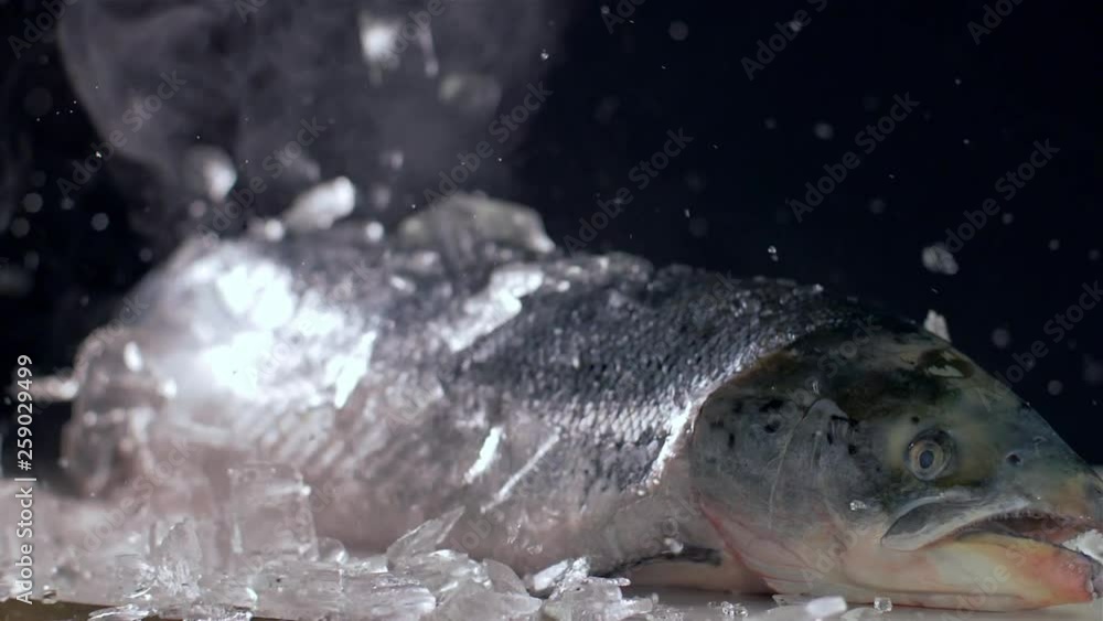 Ice cubes fall on fish salmon Slow motion Ice cubes fall on fish salmon Slow motion