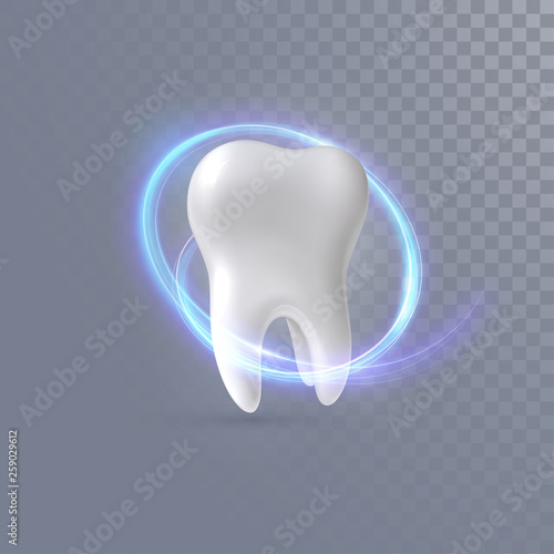 Realistic 3d tooth