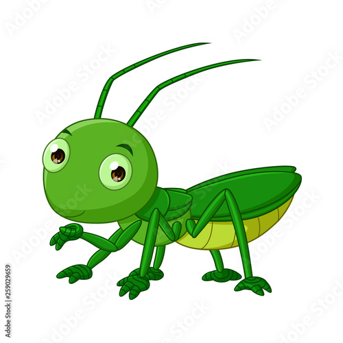 Fototapeta Naklejka Na Ścianę i Meble -  Cartoon cute grasshopper isolated on white background-vector art