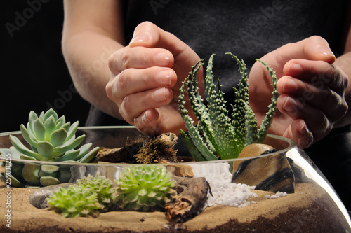 Two women's hands are caring for a small garden with tropical plants, succulents and sand in a glass pot. Gardener's tools.