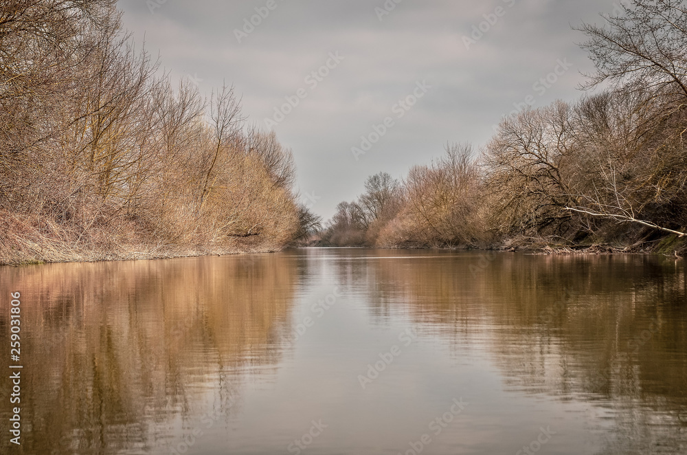 Early spring scenery of the river with trees reflected in the water Early spring scenery of the river with trees reflected in the water