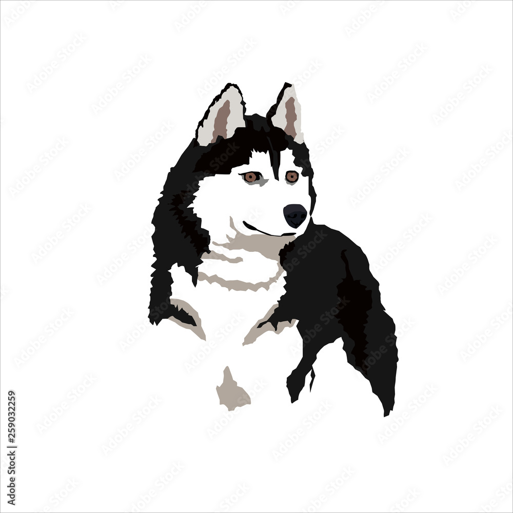 Fototapeta premium Husky silueta