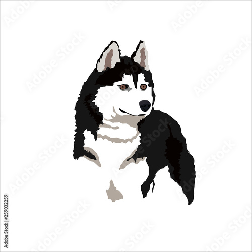 Husky silueta