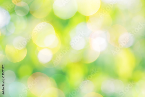 Abstract bright spring background from blurred blooming orchard