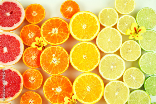 Colorful citrus fruit including blood grapefruit  mandarins  oranges  lemons and limes.