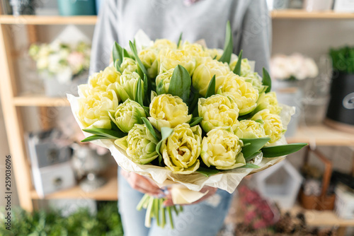 Fototapeta Naklejka Na Ścianę i Meble -  Young beautiful woman holding a spring bouquet of yellow tulips in her hand. Bunch of fresh cut spring flowers in female hands