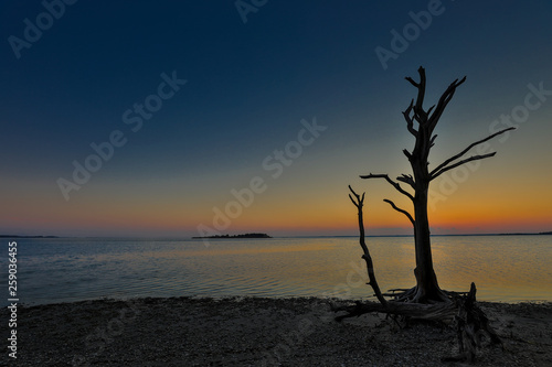 Colorful sunset over the Atlantic Ocean at Assateague Island with tree silhouetted in the foreground. Photo by: Chuck Beyer © Chuck Beyer