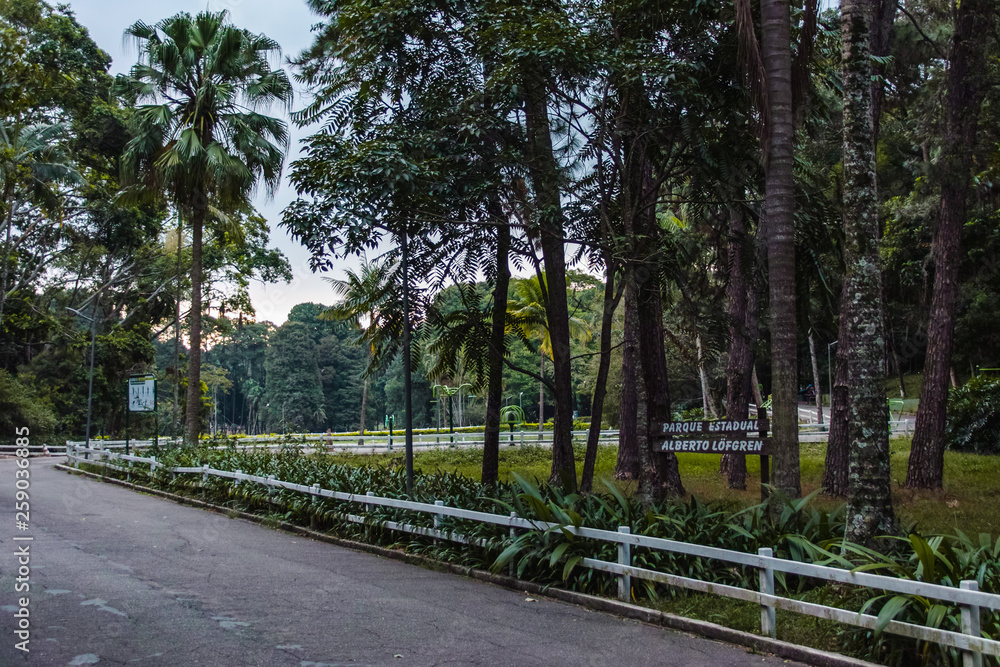 Horto Florestal in Sao Paulo, Brazil