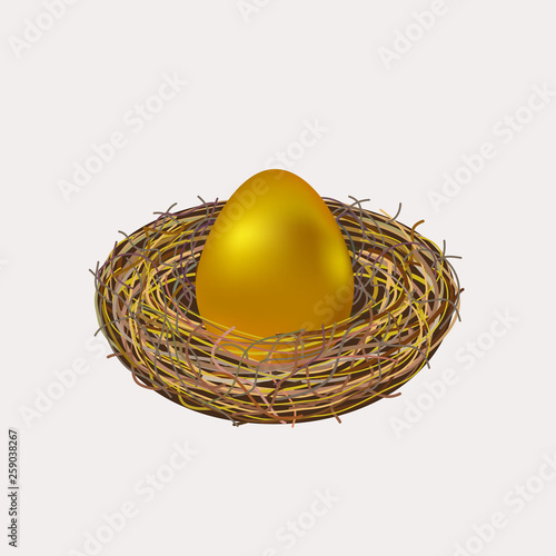 Golden easter egg in nest on white background