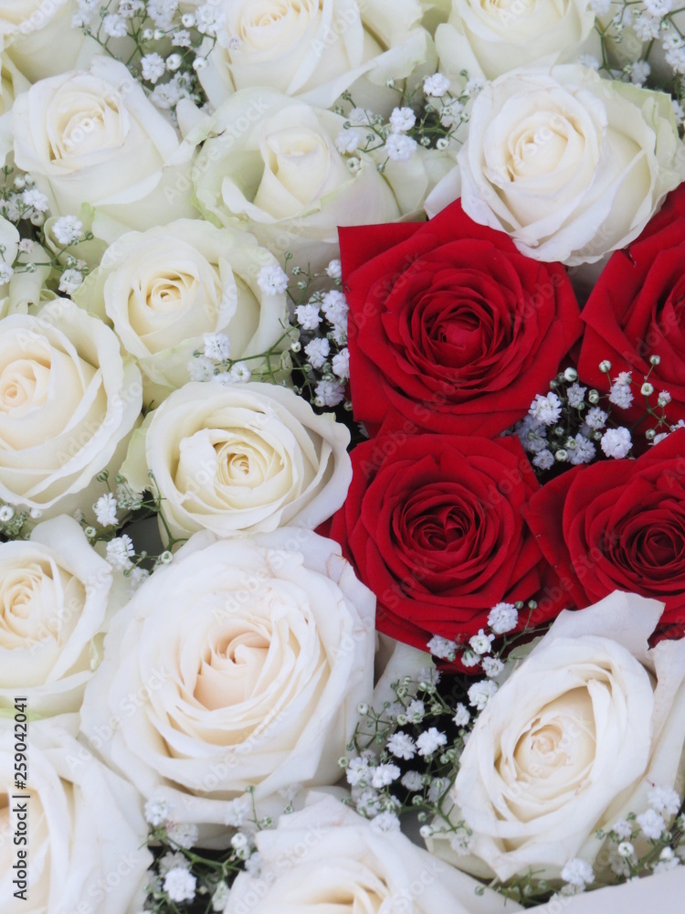 Obraz premium Blumen