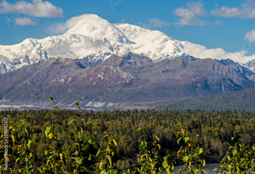 Denali Mountain  Mt. McKinley  snow covered rises above the landscape.